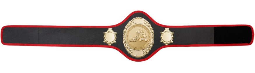 JIU JITSU CHAMPIONSHIP BELT-PRO286/G/JJG-10+ COLOURS
